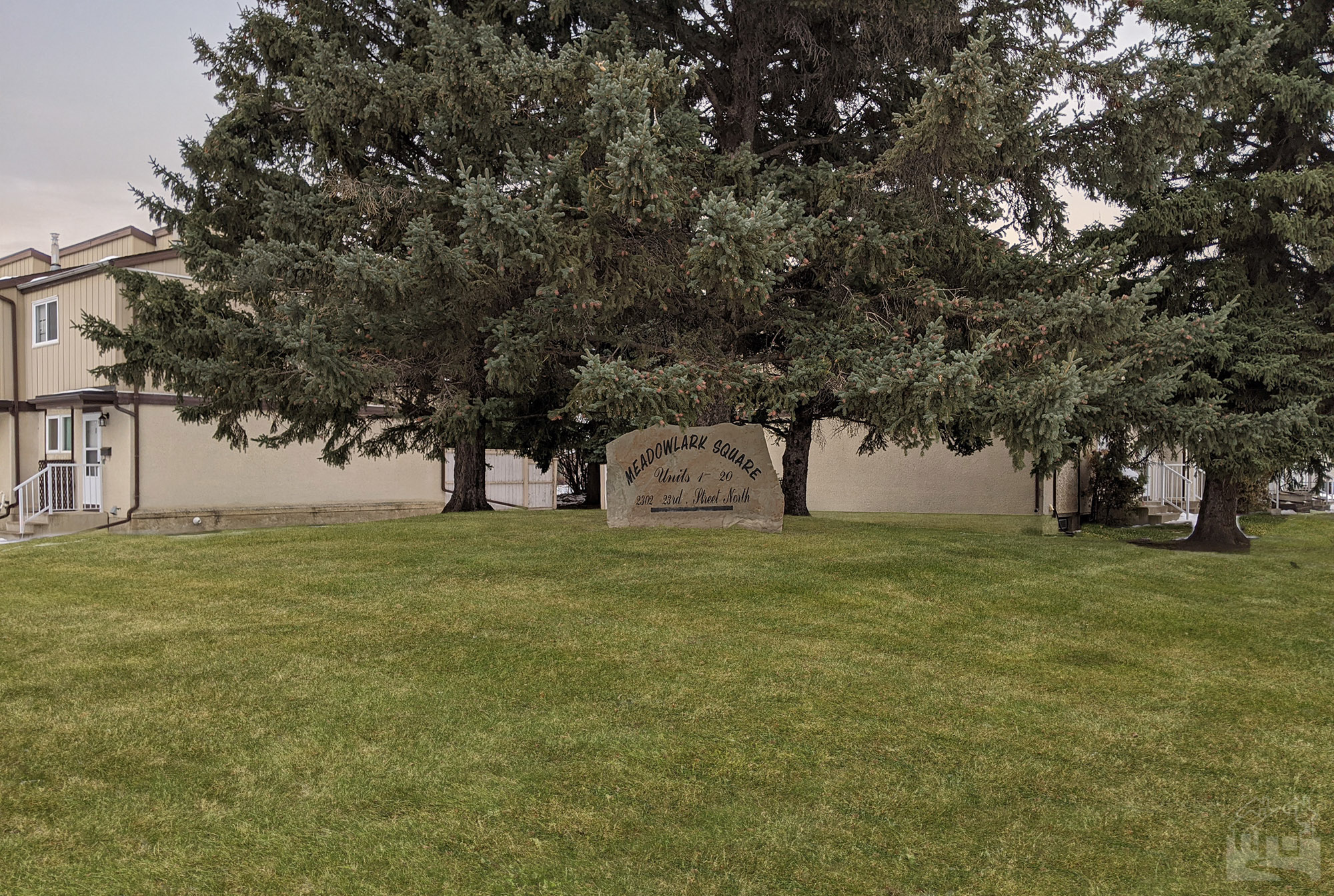 Meadow Lark Square cover image